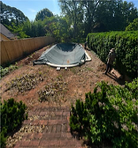 Before: overgrown backyard around a covered pool
