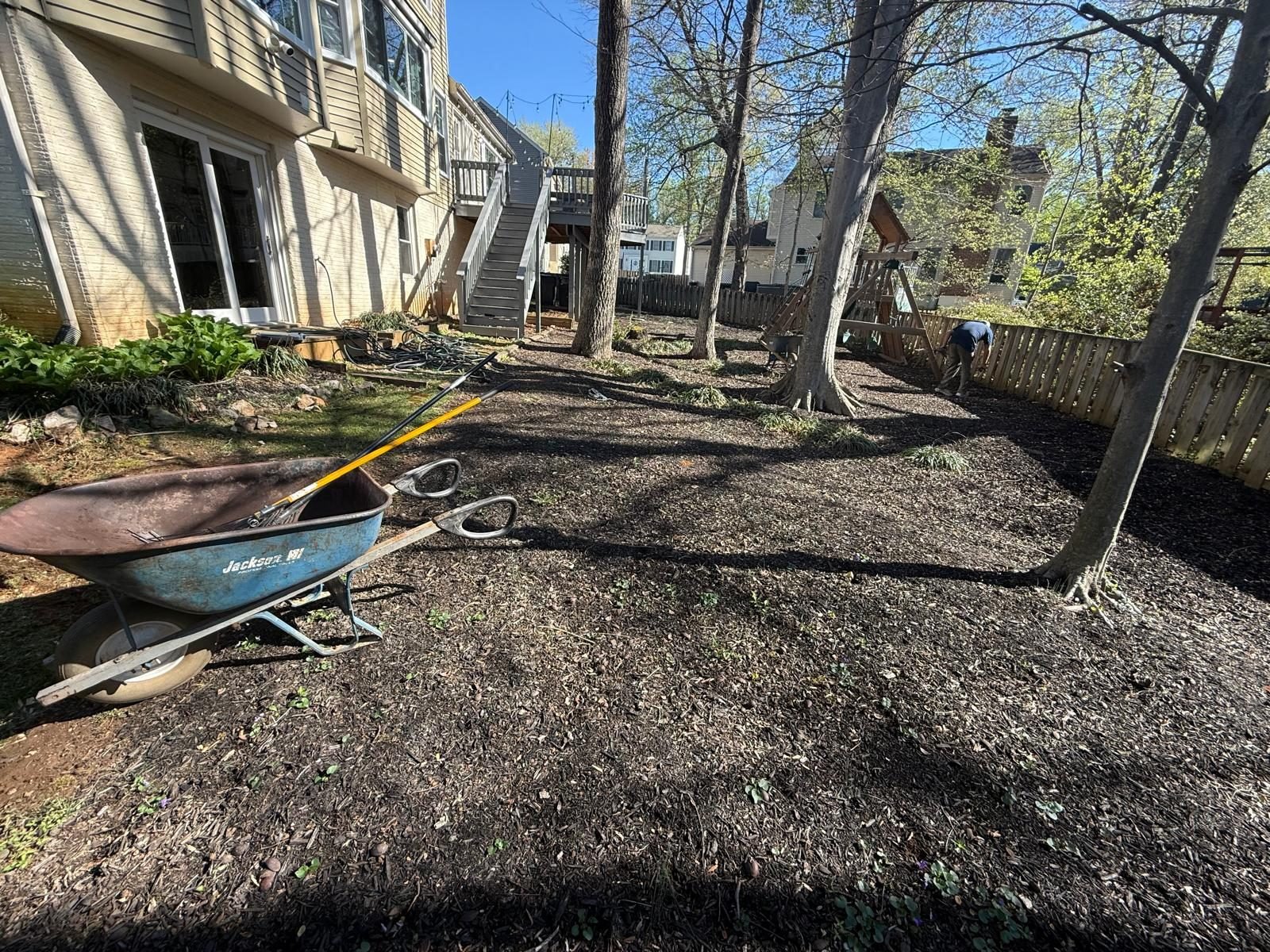 Clearing and prepping a wooded yard for new planting beds