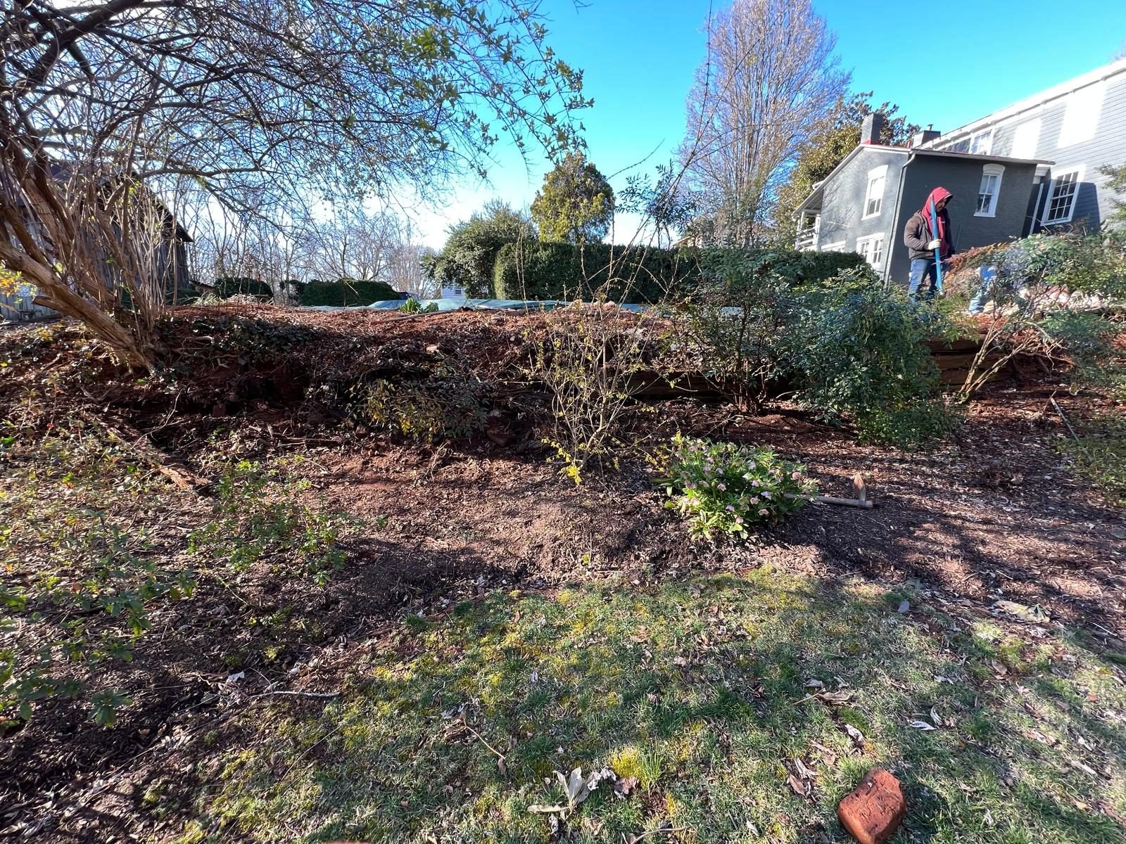 Yard cleanup opening up a water view
